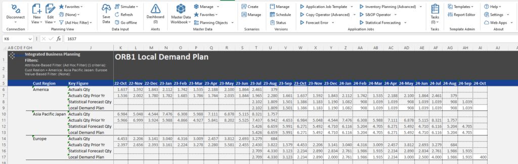 Local Demand Plan Eingabemaske