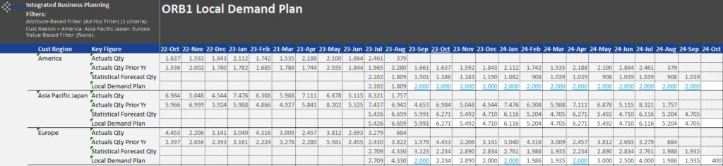 Local Demand Plan Eingabemaske