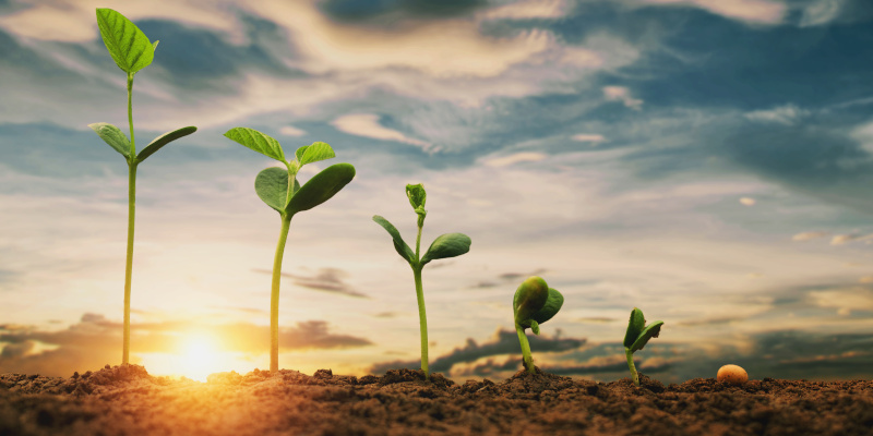 GROW with SAP mit der S/4HANA Public Cloud - die Transformation für den Mittelstand GROW with SAP mit S/4HANA Public Cloud
