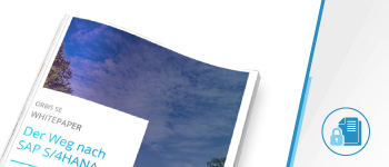 Whitepaper zum Thema SAP S/4HANA Transformation