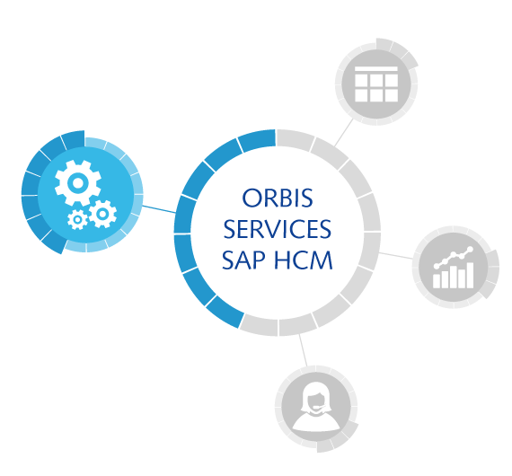 SAP HCM core processes SAP HCM core processes