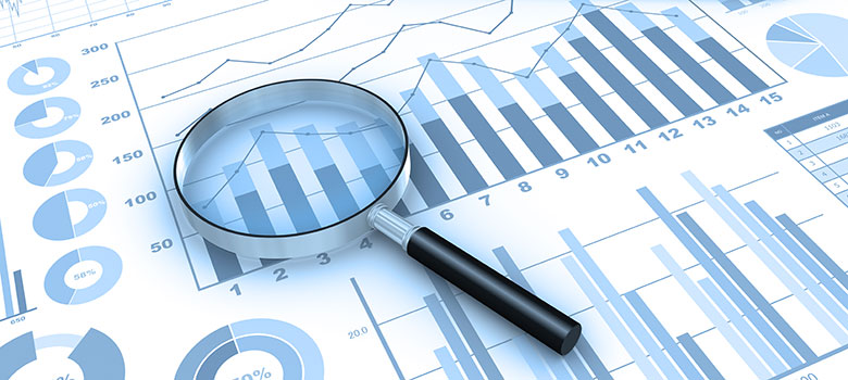 Darstellung von Analysen mittels Laptop, Lupe und Charts