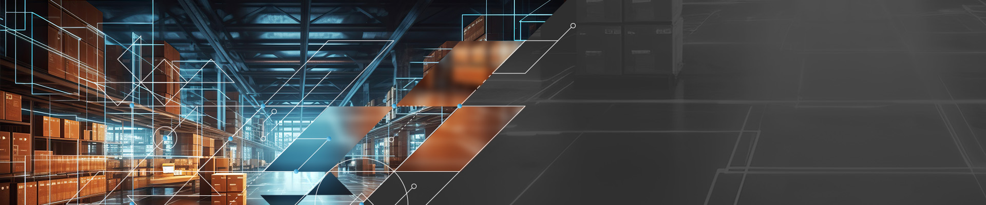 Webinar SAP WM/EWM Transition