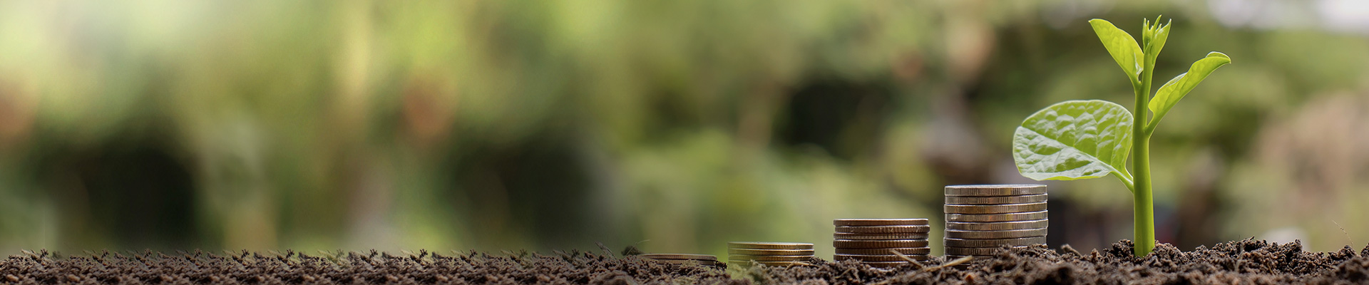 Webcast SAP S/4HANA Finance zur optimierten Vorgehensweise in der Lean Conversion